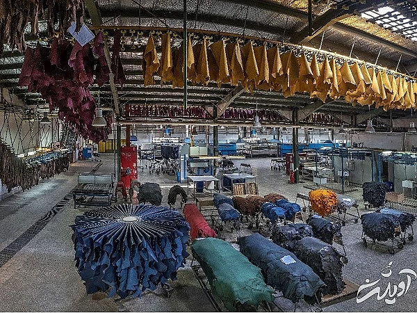 کارخانه چرم مشهد